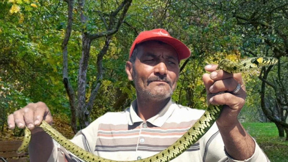 Kayseri'de bir adam yılan yakalayarak para kazanıyor