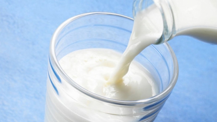 Sağlıklı Beslenmek İçin Süte Alternatif Bol Kalsiyumlu Yiyecekler